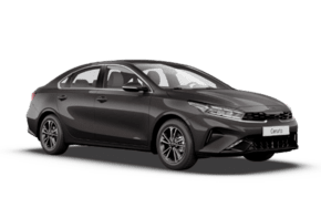 Cerato